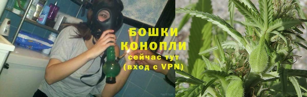 трава Покачи