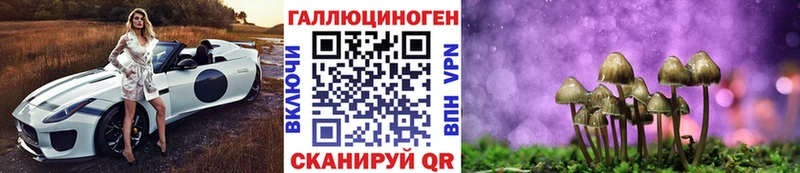 даркнет состав  Богданович  Галлюциногенные грибы мицелий  MEGA ONION 