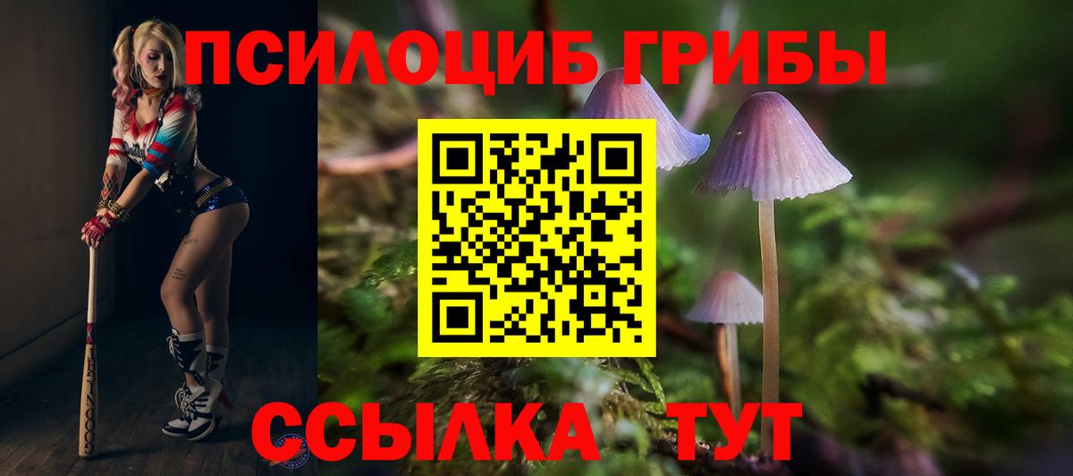 Богданович  Галлюциногенные грибы прущие грибы  Вход с VPN 