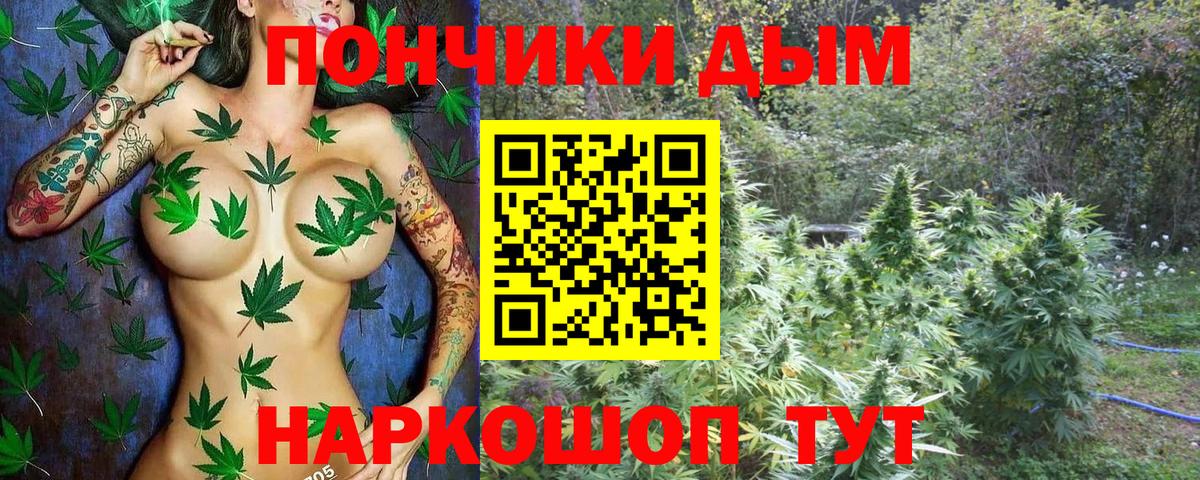 Бошки марихуана LSD WEED  Богданович  Каннабис ГИДРОПОН 